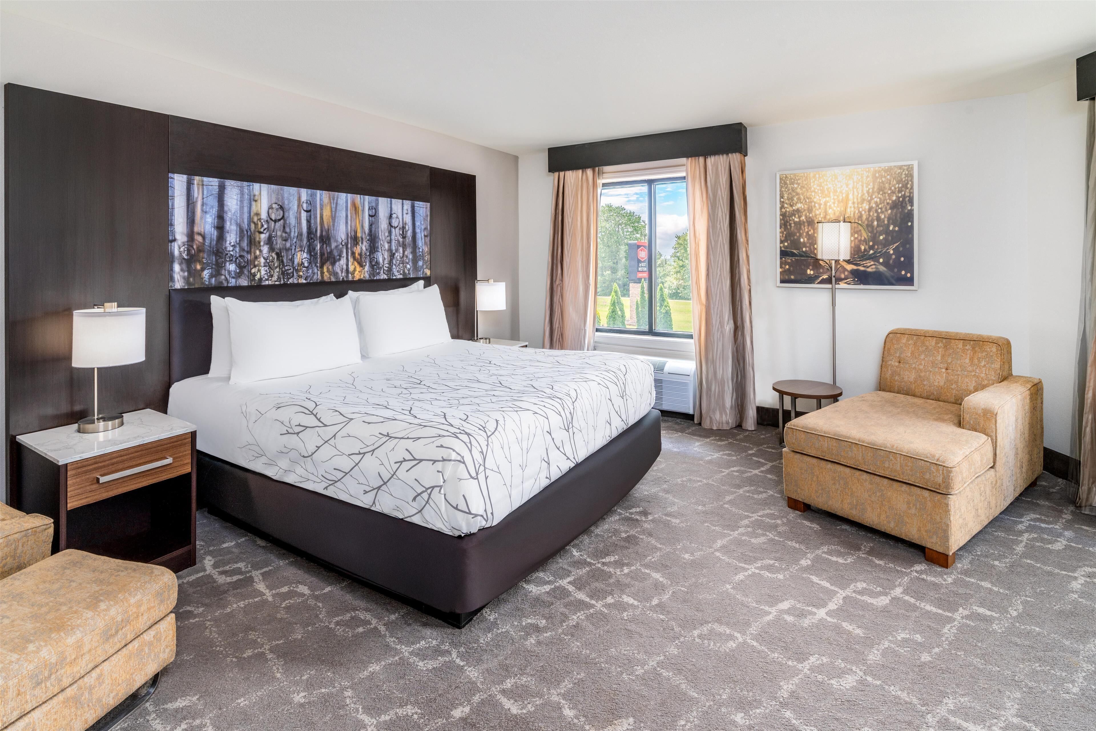 standard room, 1 king bed, non smoking, refrigerator & microwave (larger room;with sofabed) | pillow-top beds, in-room safe, individually decorated, desk