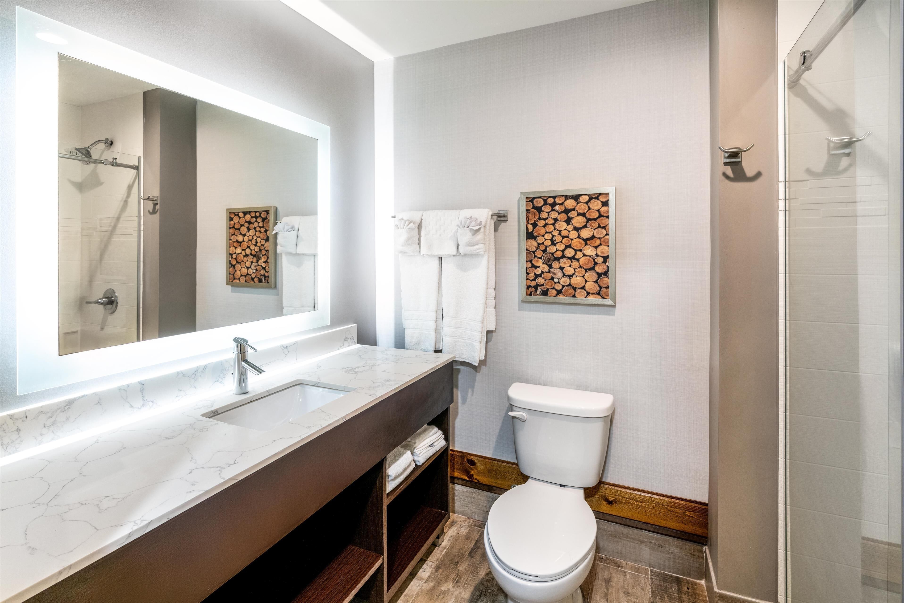 shower, rainfall showerhead, free toiletries, hair dryer