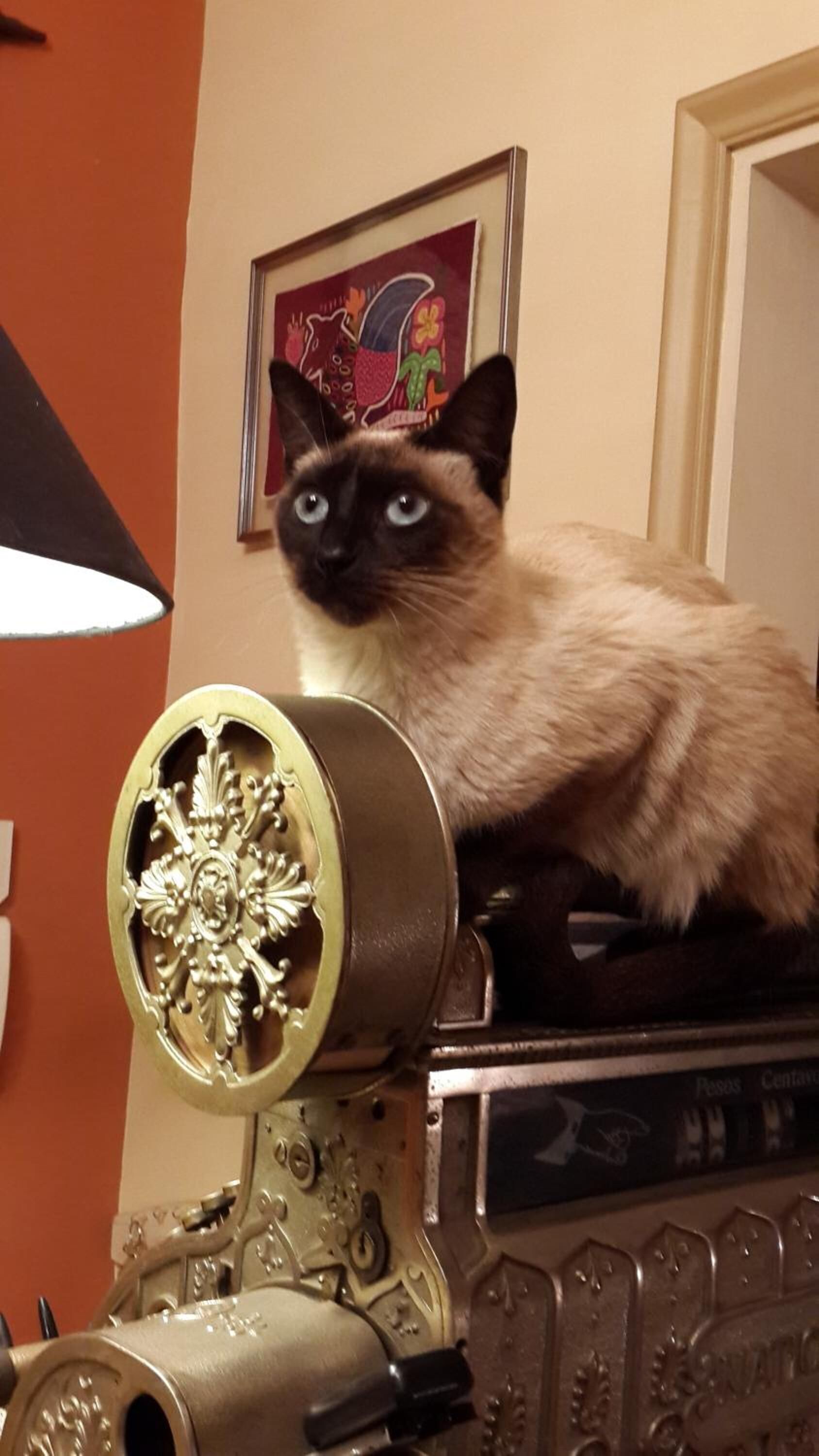 Photo - Villa Floreal Hotel Boutique