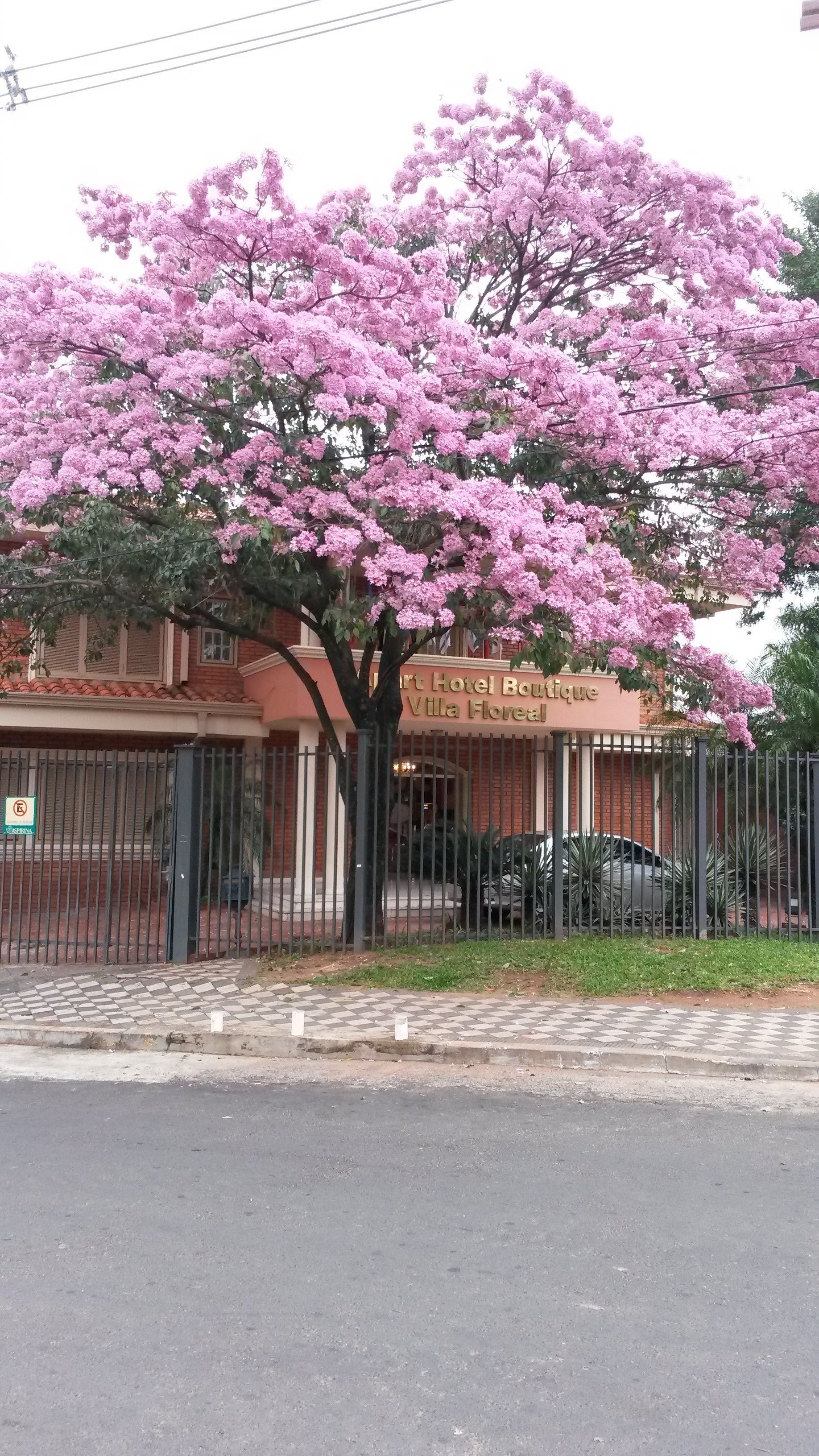 Photo - Villa Floreal Hotel Boutique