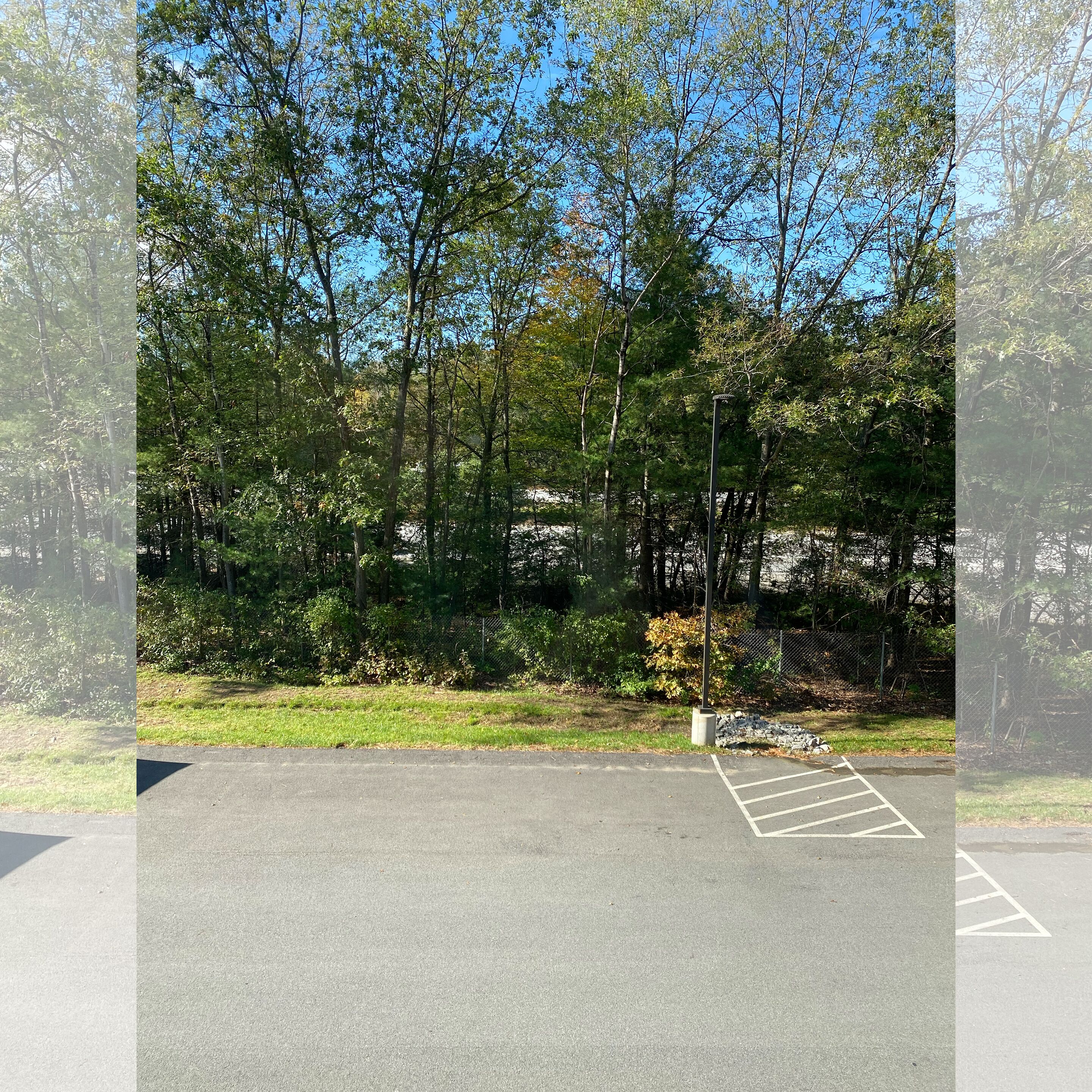 studio, 1 king bed, accessible (roll-in shower) | view from room