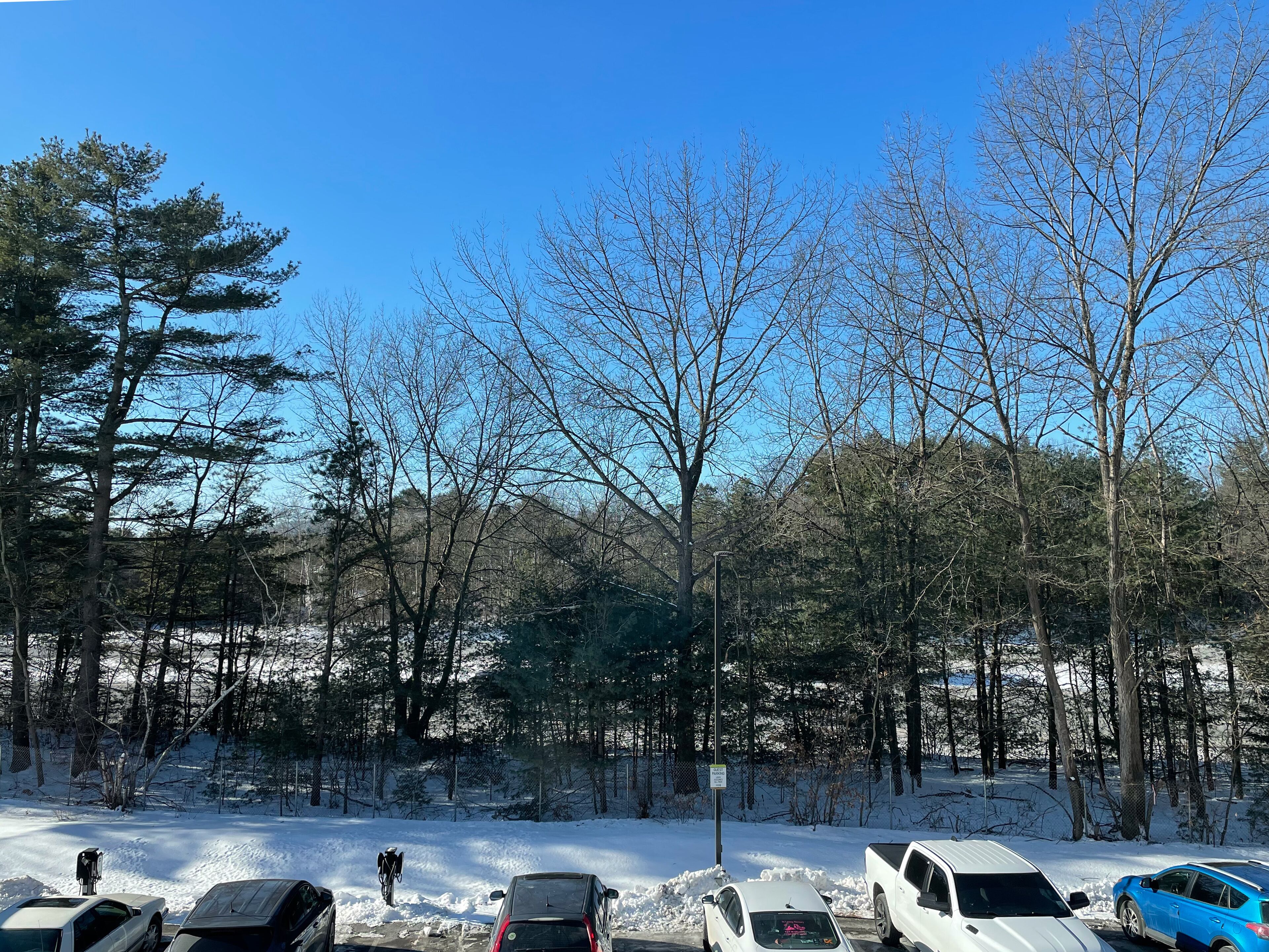 studio, 2 queen beds, accessible, bathtub (mobility & hearing) | view from room