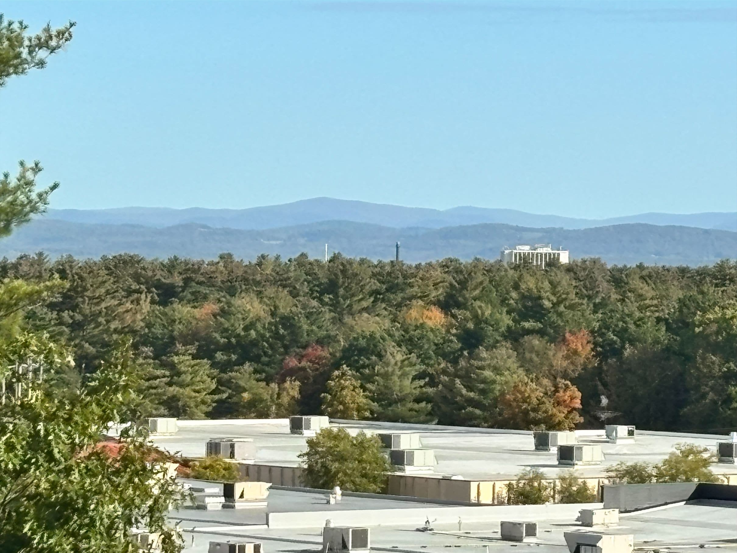 View from room