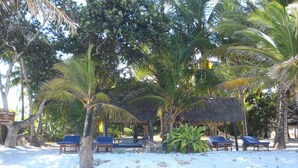 A beach area with thatched-roof structures, palm trees, and blue lounge chairs. - Coconut Beach Apartments (Diani Beach)