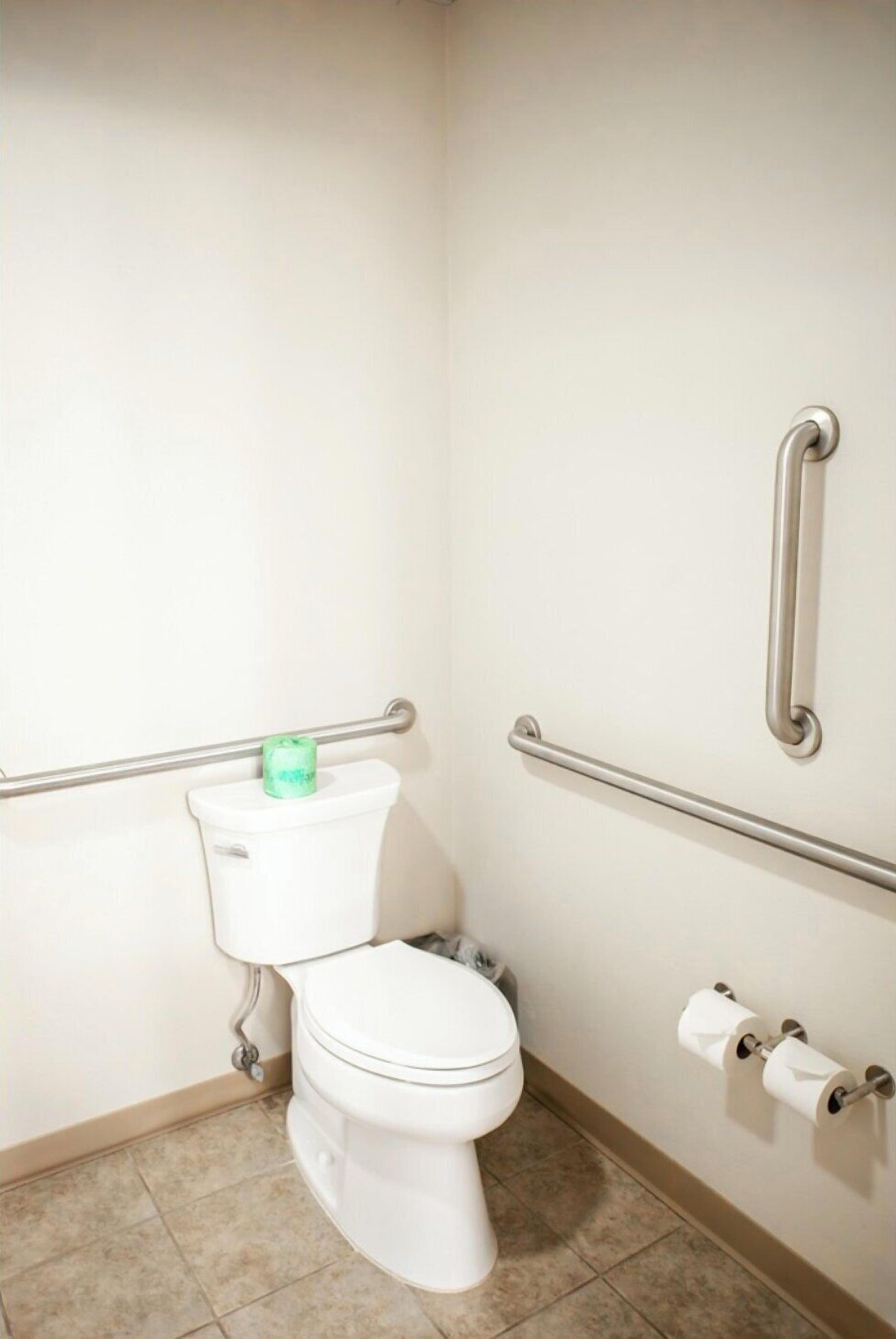 A small, white bathroom with a toilet, grab bars, and a toilet paper holder.