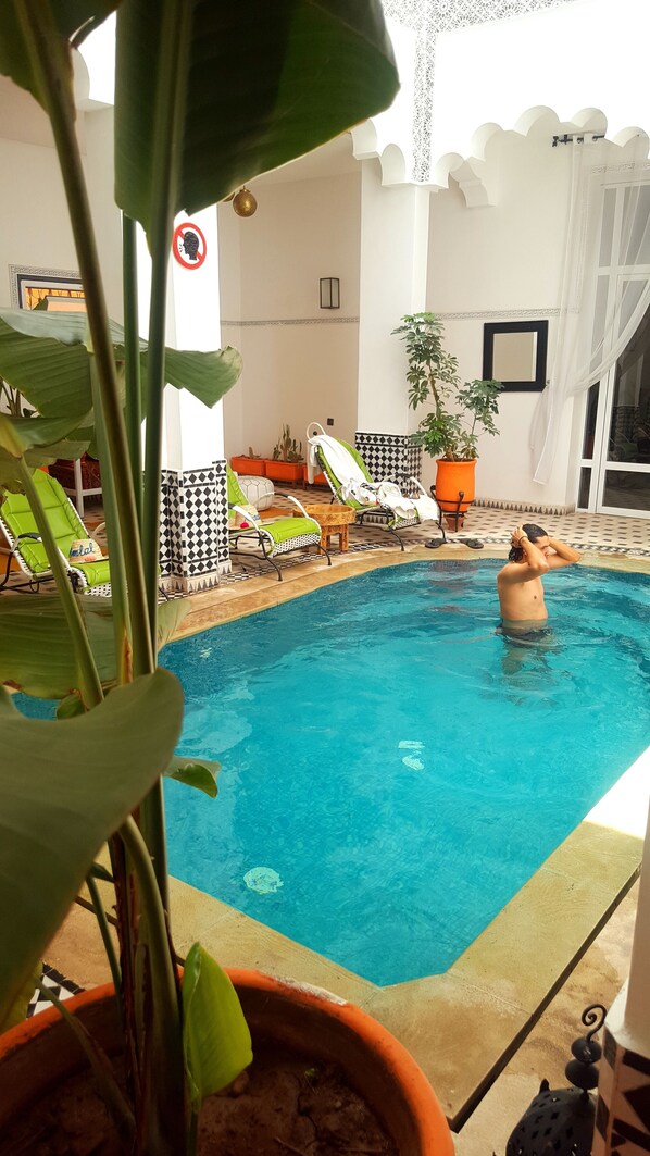 Indoor pool, open 10:00 AM to 8:00 PM, pool loungers