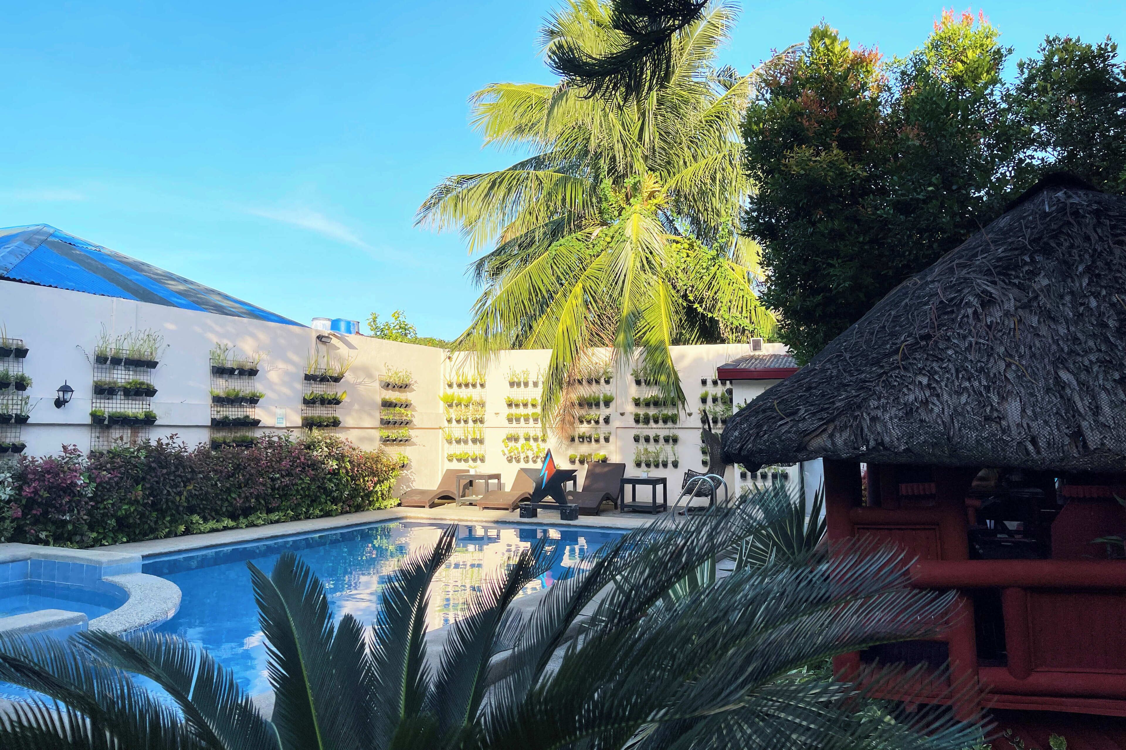 A hotel pool area with a palm tree, lounge chairs, and a thatched-roof structure.