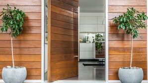 Et moderne interiør med træpaneler, en glasdør og to krukker med planter.