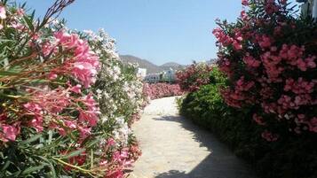 Área da propriedade