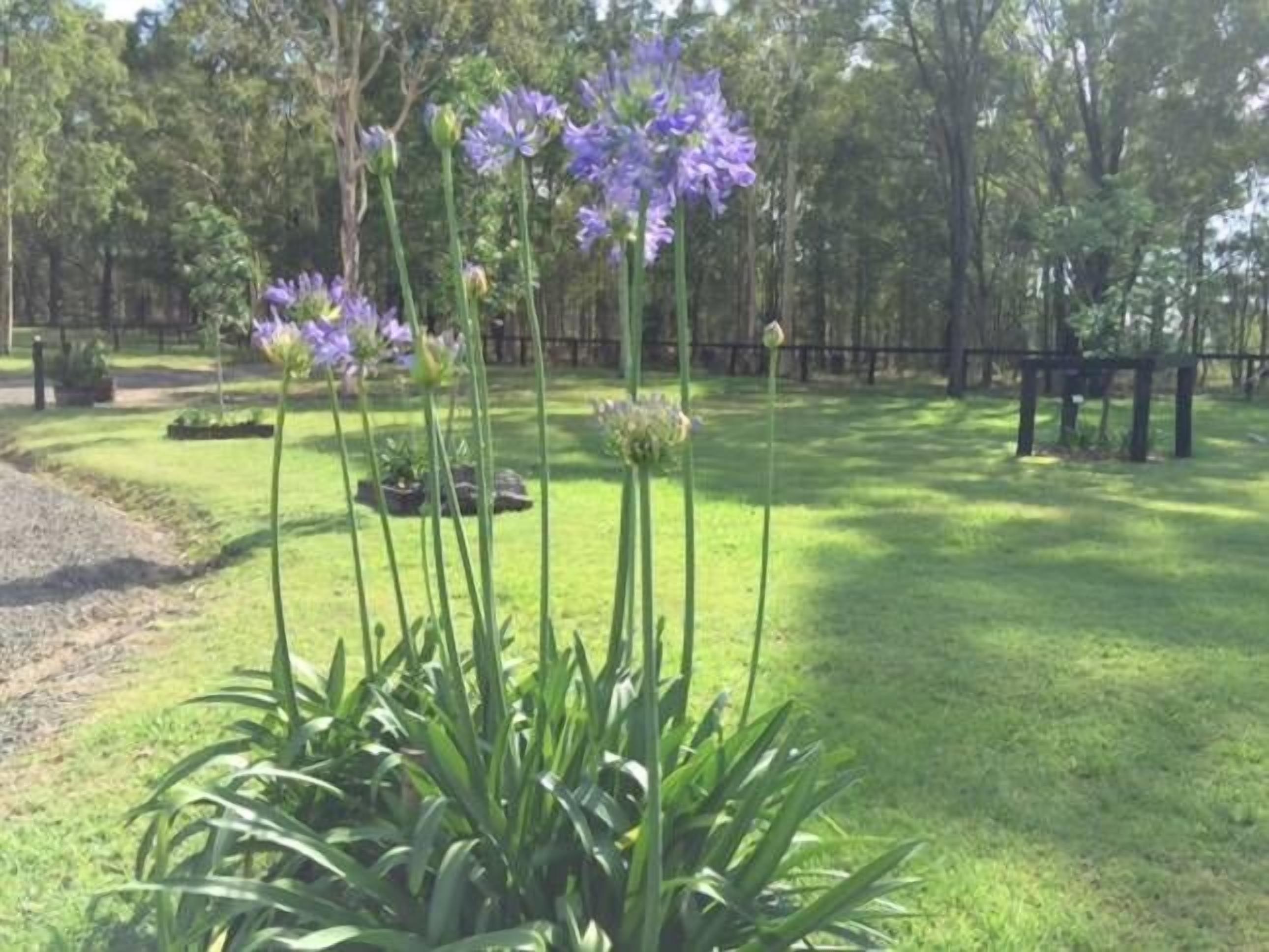 Lindsay Hideaway - Serenity Now  — image 14