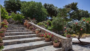 Un escalier en pierre agrémenté de plantes en pot.