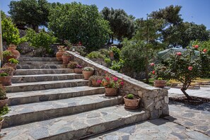 Property grounds - Traditional Villa with Sea & Mountain View - Including tours to our private farm (Rethymno)