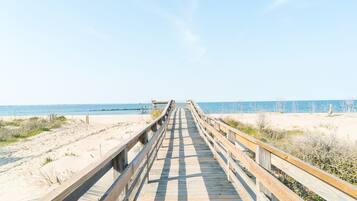 Plage, chaises longues
