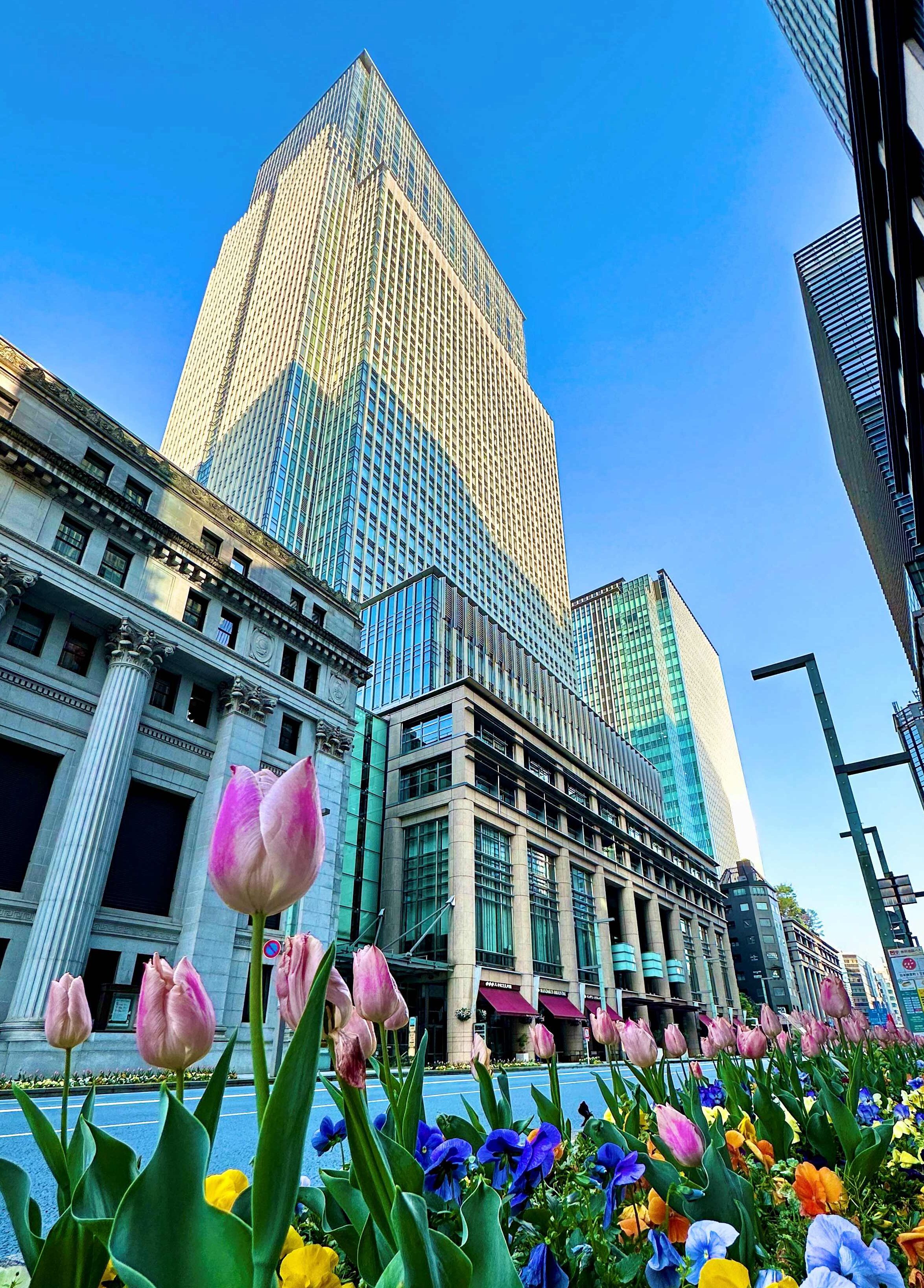 city view from property