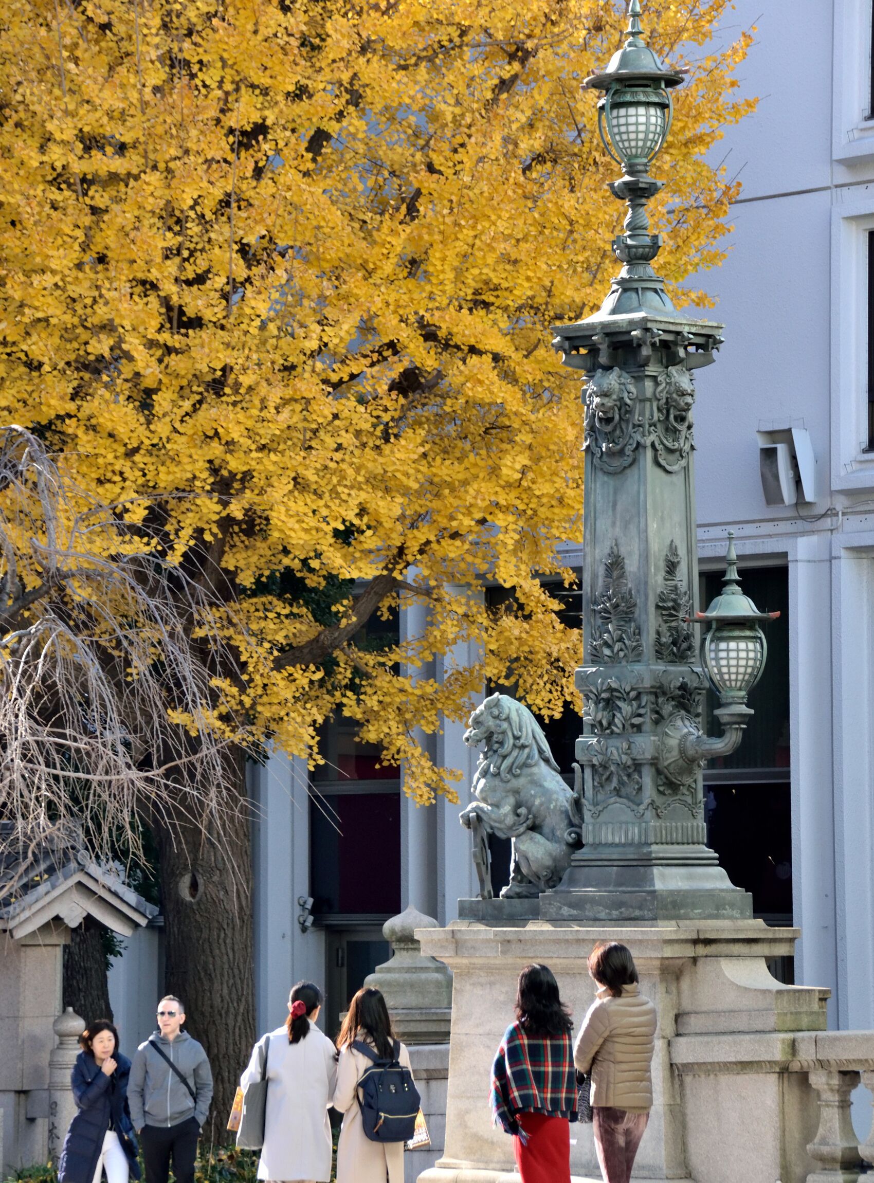city view from property