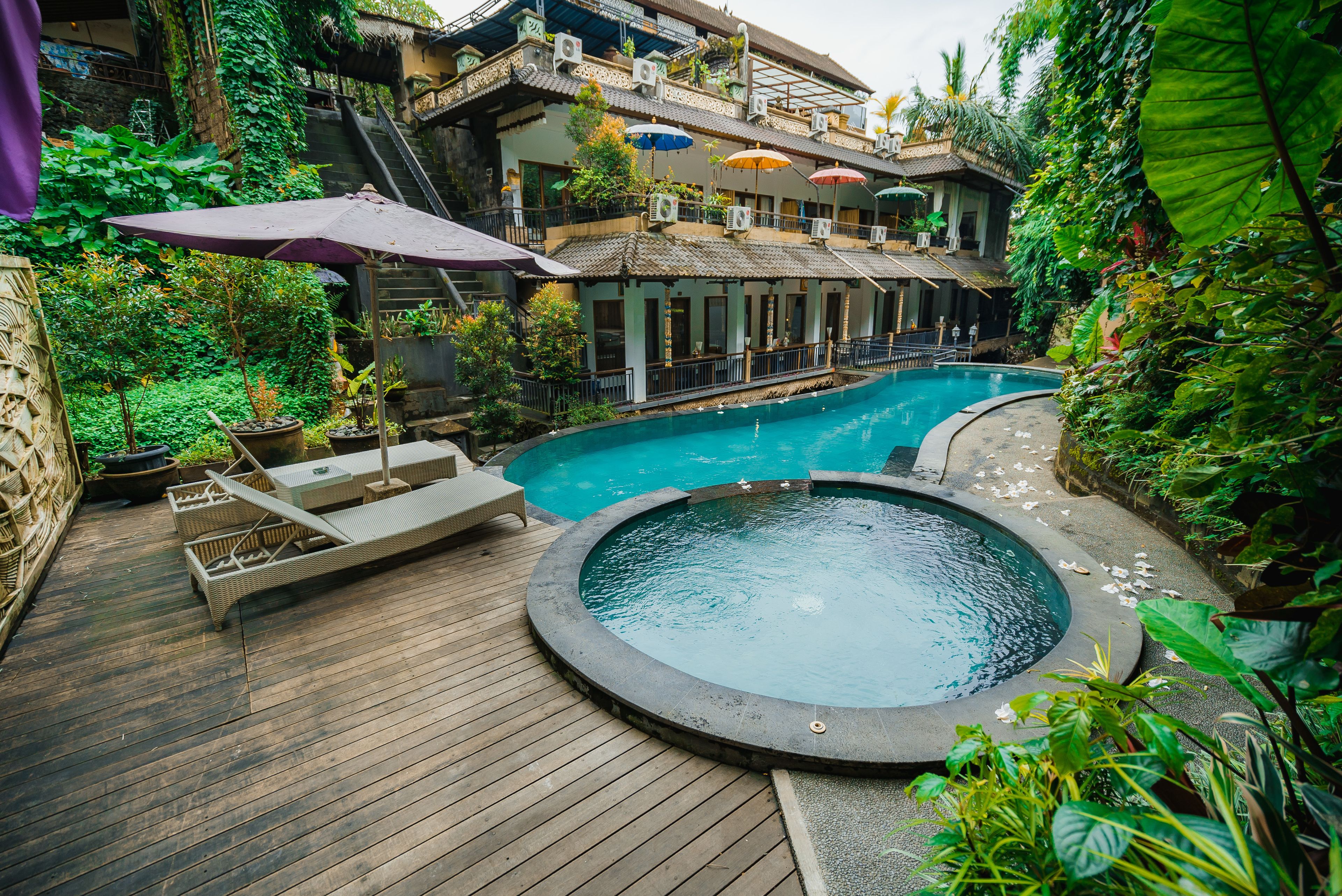 Outdoor pool, sun loungers