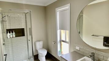 Combined shower/bathtub, hair dryer, towels, soap