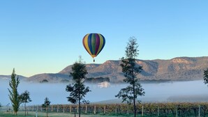 A hot air balloon flying over a vineyard with misty mountains in the background. - Spacious Cottage, overlooking bushland (Pokolbin)