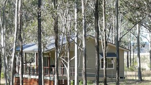 A small, single-story house surrounded by tall trees in a grassy area. - Spacious Cottage, overlooking bushland (Pokolbin)