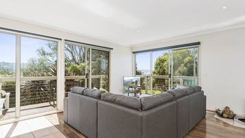 Una televisión, una chimenea