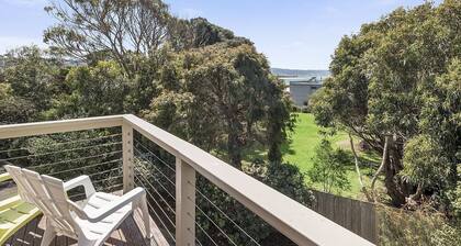 Coral Reef - Marengo