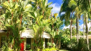 Exterior - Aquatica Palm Cove (Palm Cove)