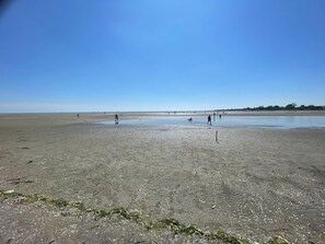 En bred, åben strand med en klar himmel.