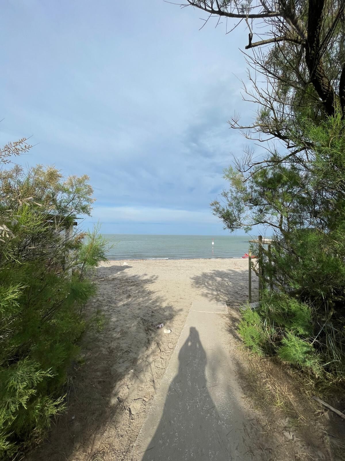 A sandy beach path leading to the sea, surrounded by greenery.