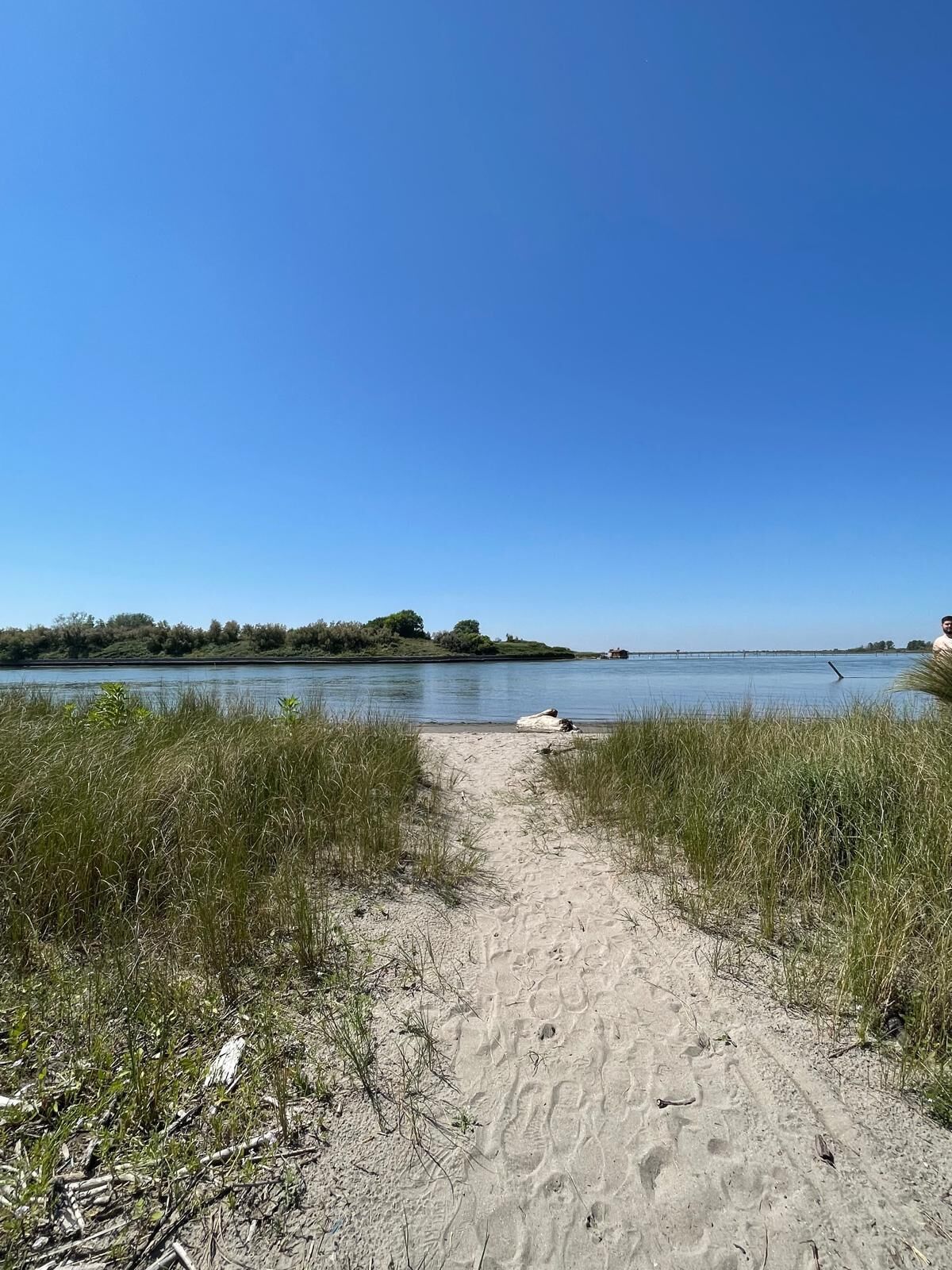 A sandy beach path leading to a calm body of water with grassy banks.