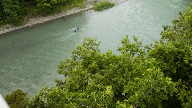 Un río serpentea por una zona boscosa con colinas al fondo.