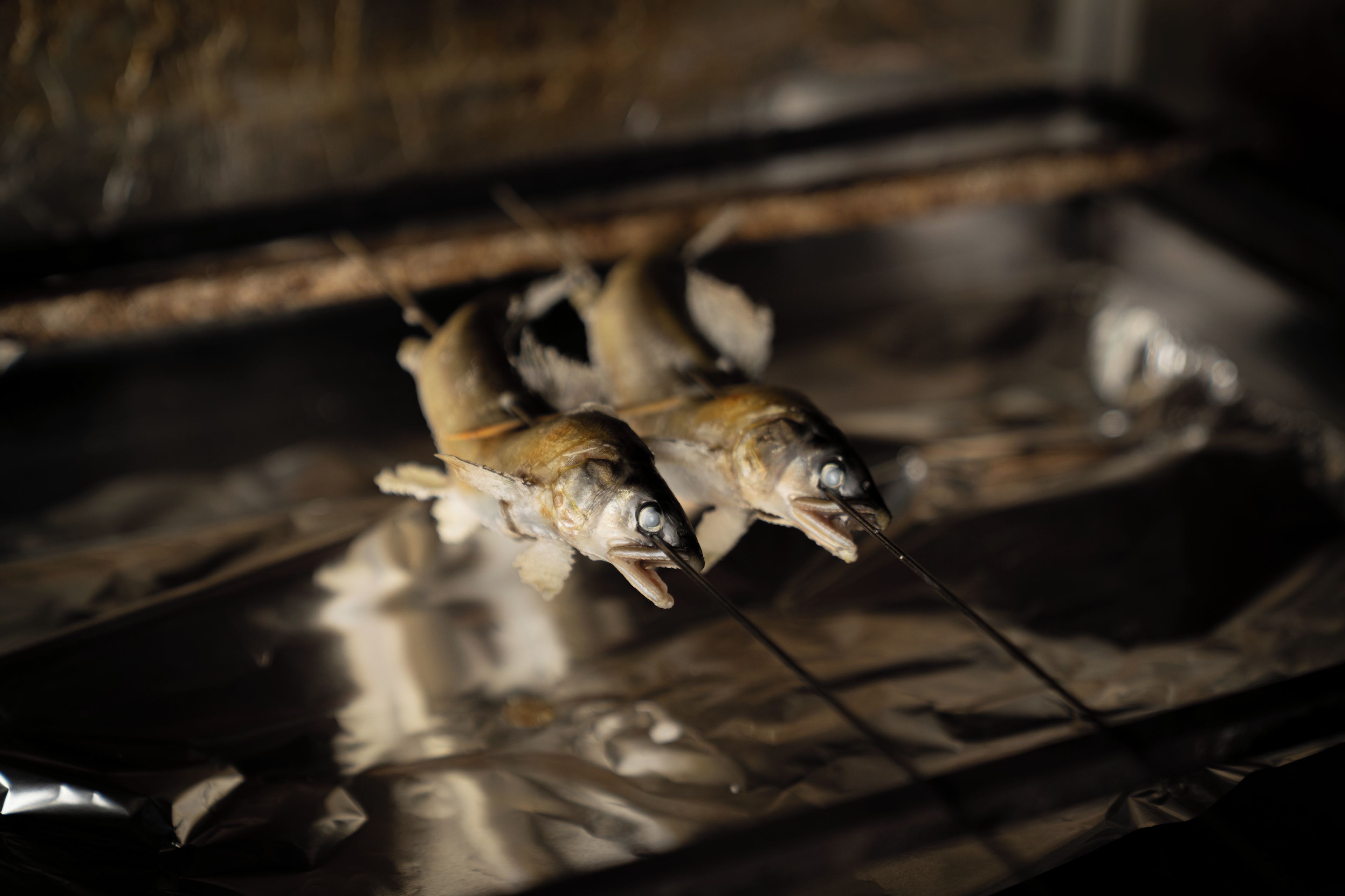 Twee visfilets op een rooster in een oven.
