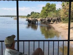 Game viewing - Serondela Lodge (Kabulabula Conservancy)