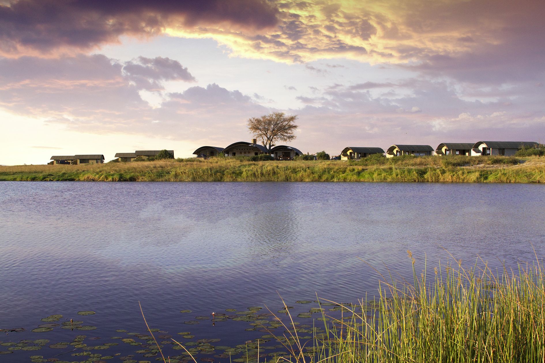 A lakeside view with several dome-shaped buildings, a tree in the center, and a calm water surface with lily pads.