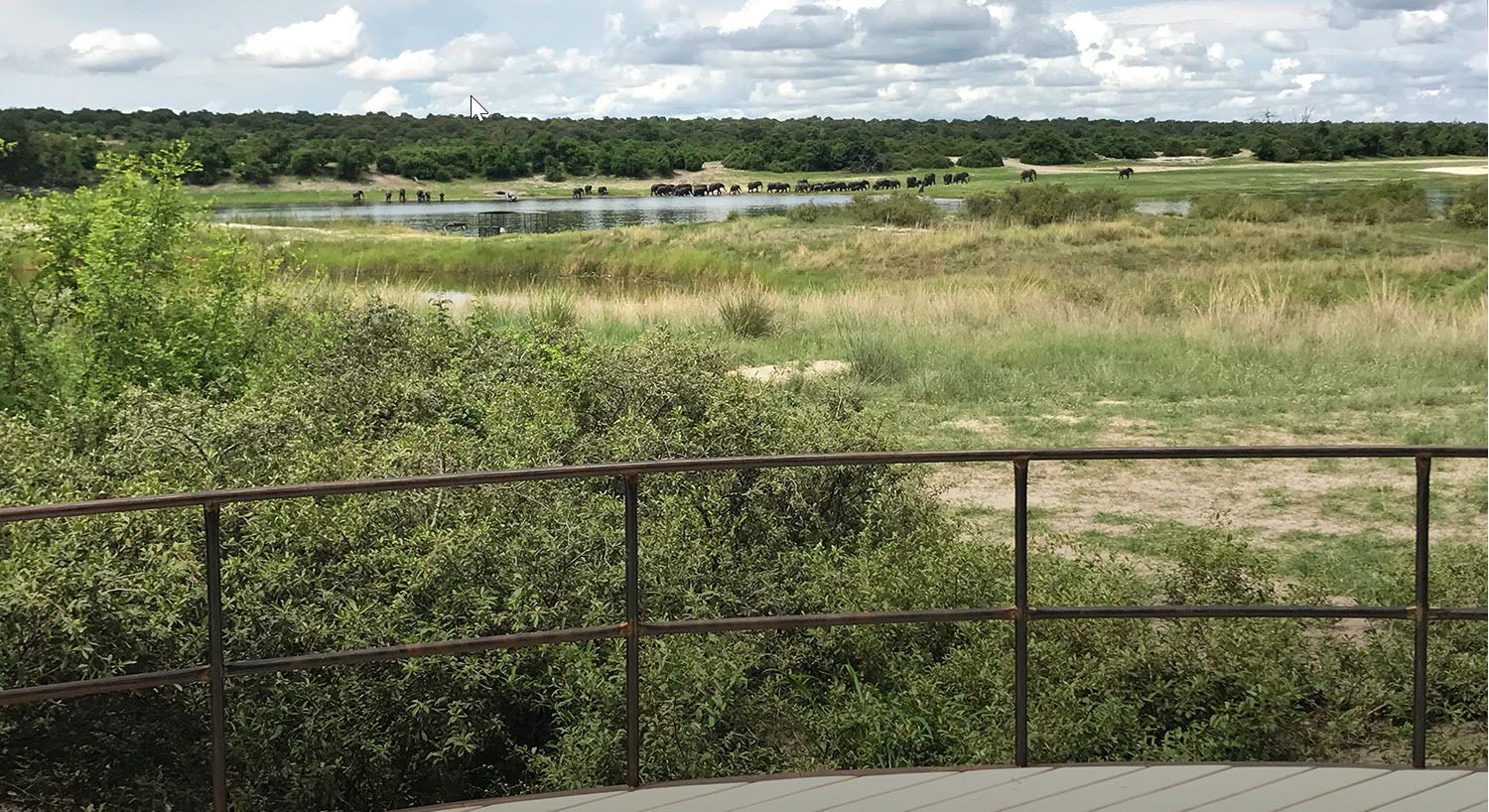 Vista de varanda com vista para uma área gramada, um lago, árvores e um guarda-corpo de metal.