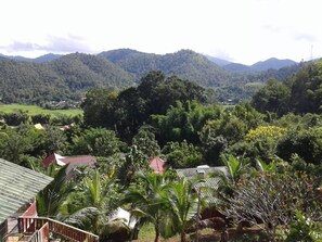 Property grounds - Forest Guesthouse (Samoeng)