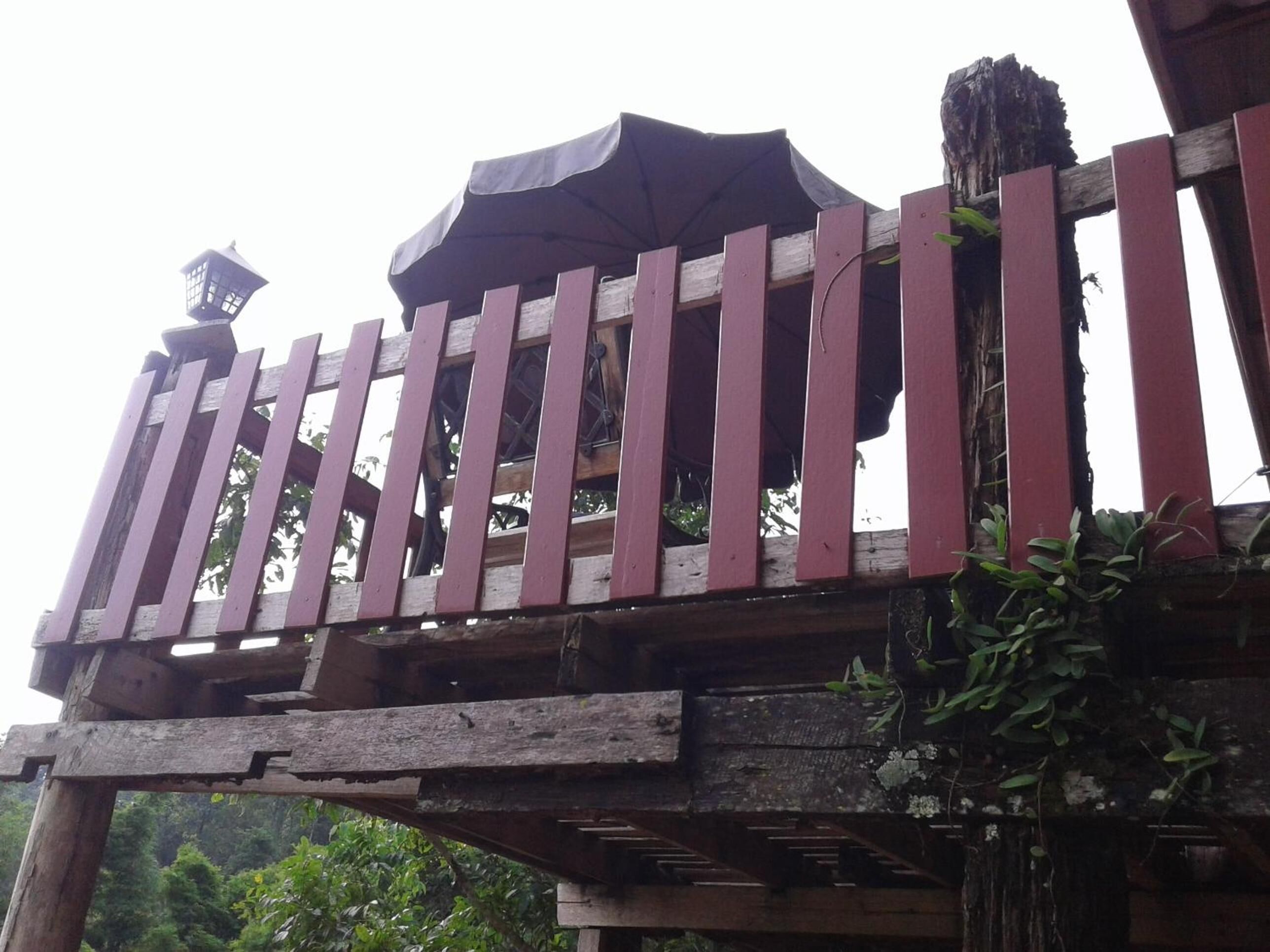 A wooden balcony with a railing, a small table, and a potted plant.