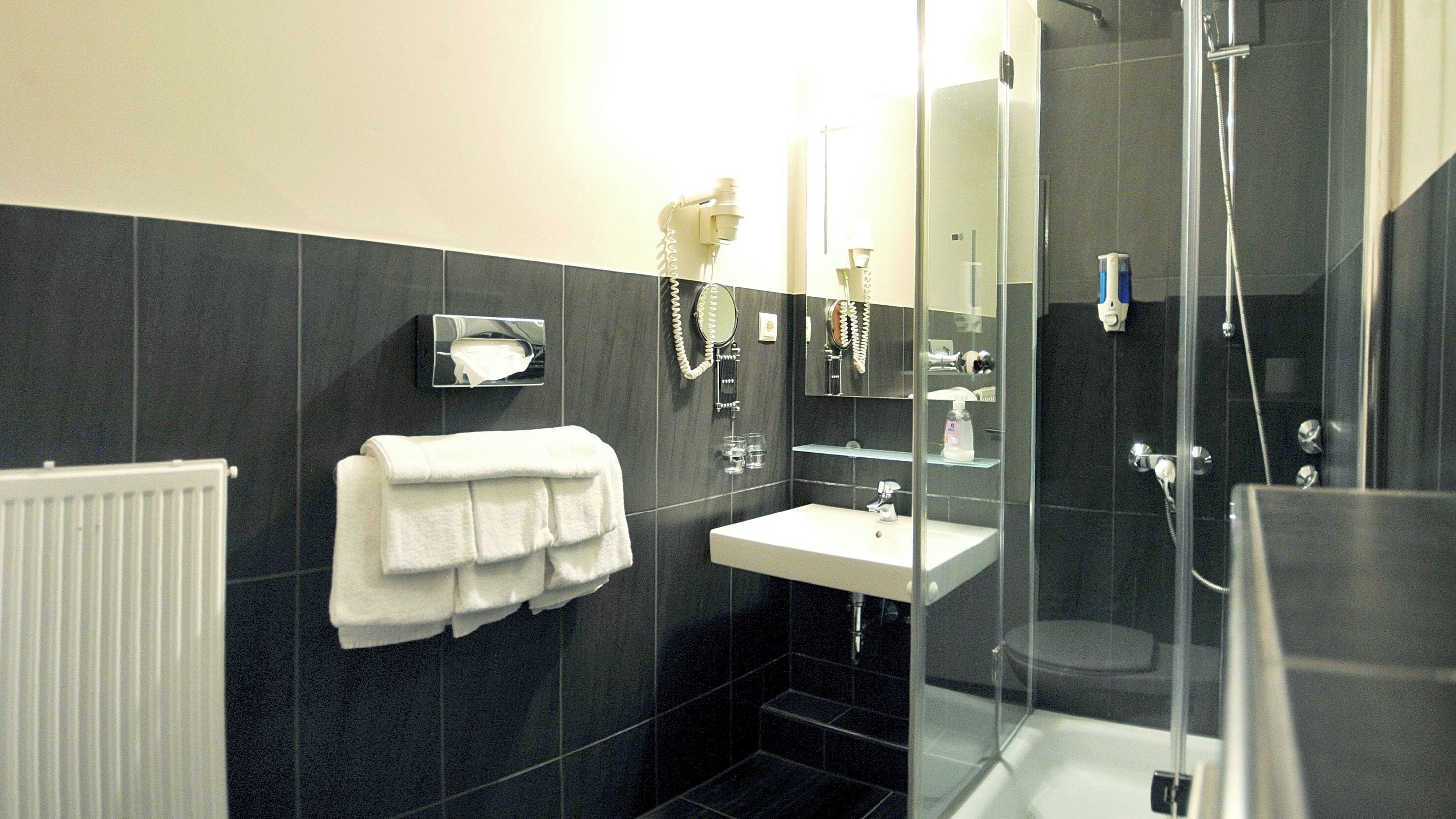 free toiletries, hair dryer, towels