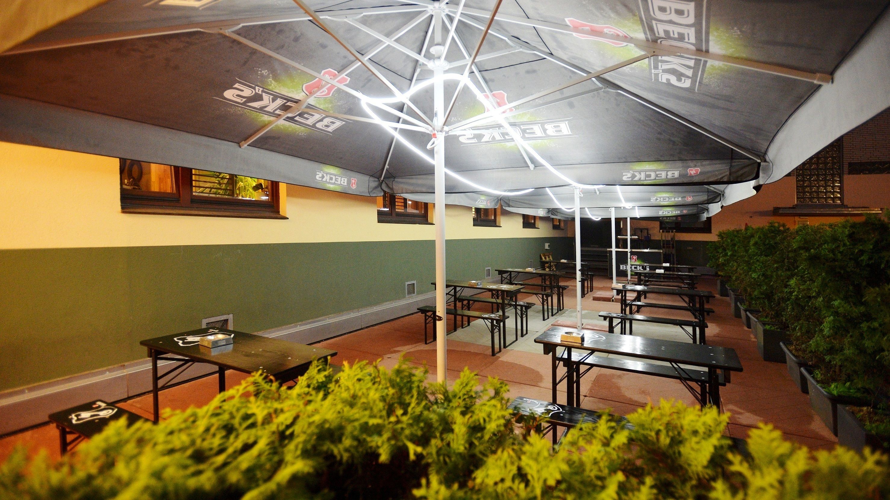 Un comedor interior con mesas y bancos, un techo con una lámpara de diseño geométrico y una pared con una vista parcial de una ventana.