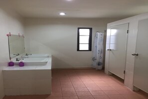 Mixed Dormitory with Shared Bathroom  | 욕실 | 샤워 시설, 타월