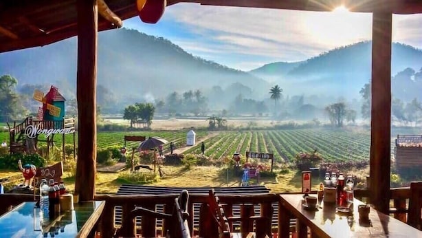 A restaurant with a view of a misty landscape, including fields and hills. - Wongwan Farm (Samoeng)