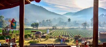 Wongwan Farm