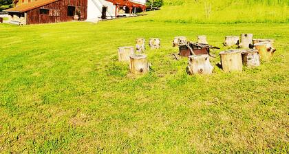 Ferienhaus für Gruppen und Familien, Hunde erlaubt, Spielplatz, mitten in Natur