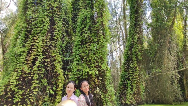 Duas pessoas sentadas num banco de concreto num jardim exuberante, com árvores altas cobertas de hera verde ao fundo.