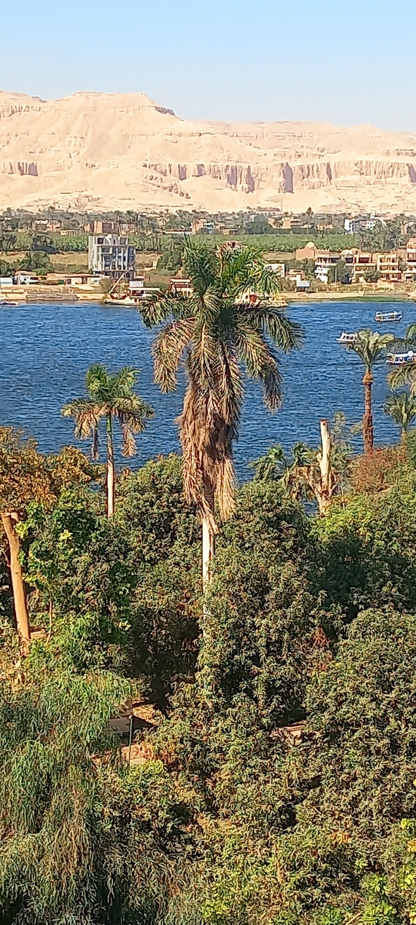 Photo - New Pola Hotel