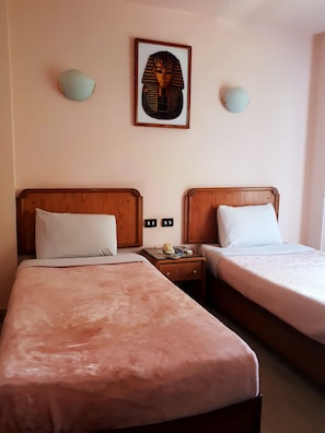 Deluxe Double Room Single Use, 2 Single Beds, River View - New Pola hotel (Luxor)