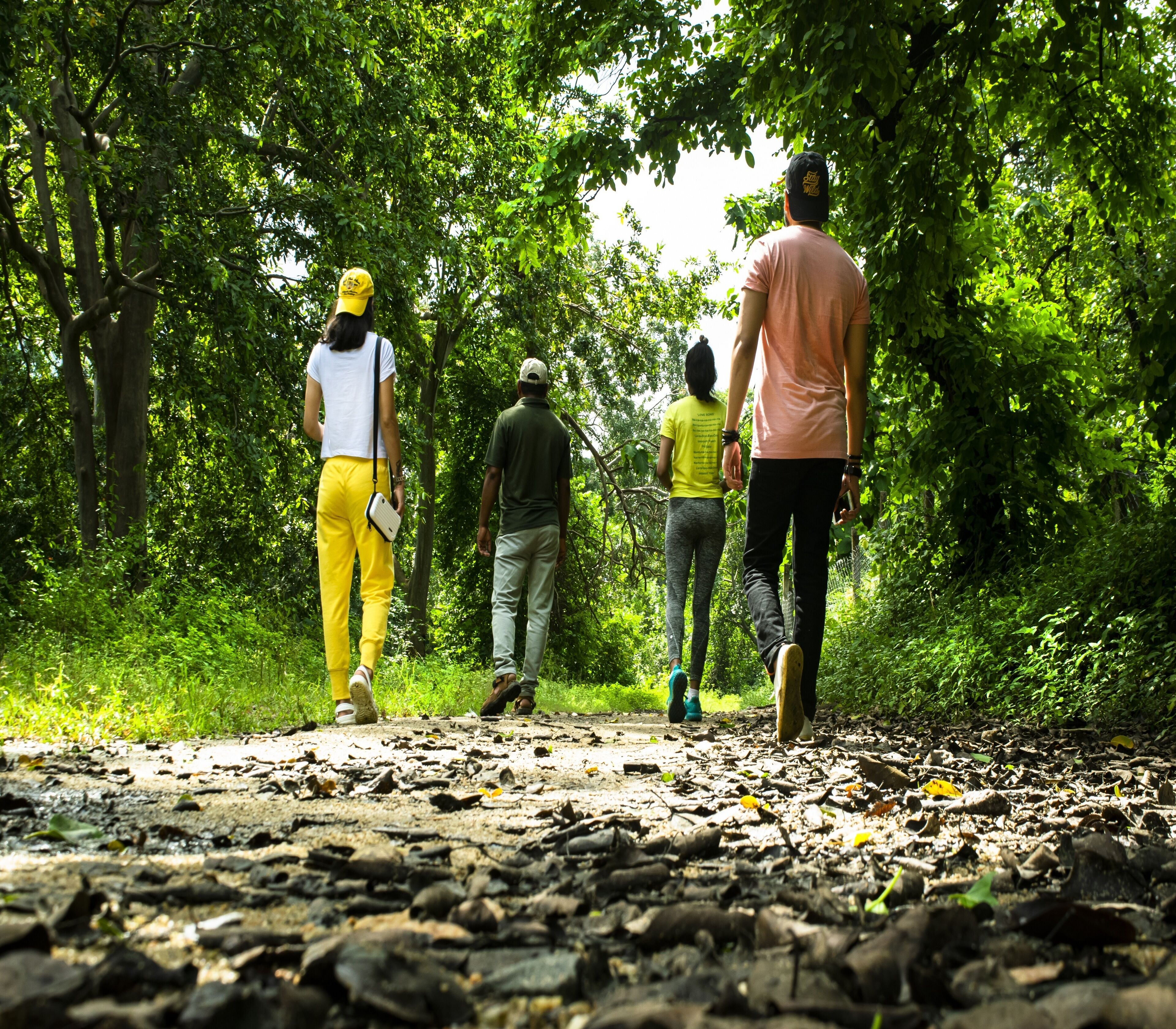 A group of people walking on a path surrounded by trees.