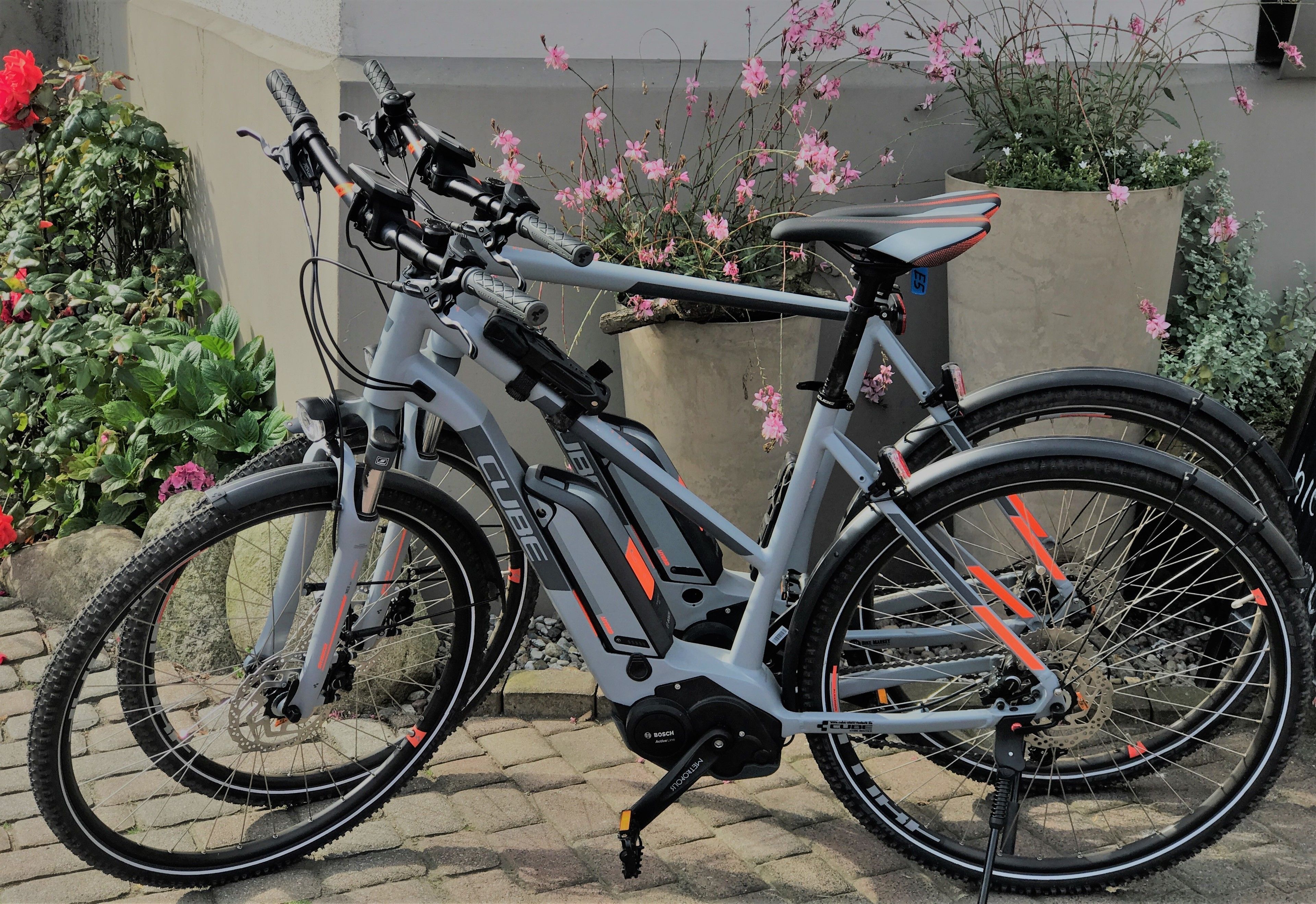 A stationary electric bicycle with a storage box, parked on a paved surface with potted plants and flowers in the background.