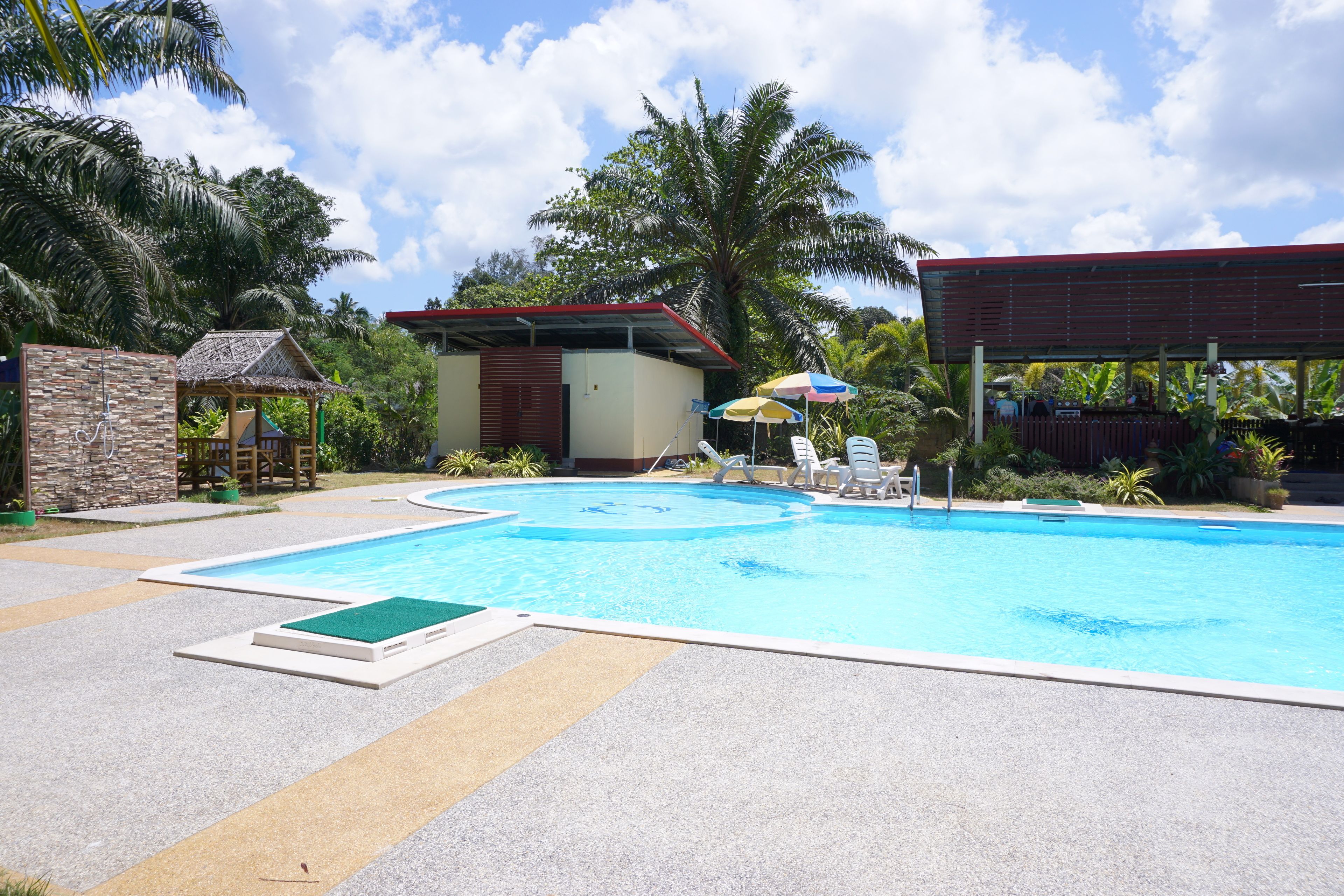 A swimming pool with lounge chairs and umbrellas, surrounded by palm trees and a small building with a red roof.