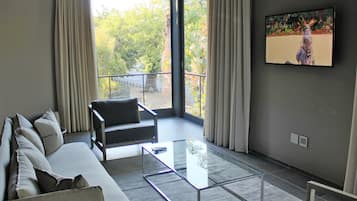 The Aviator | View from room