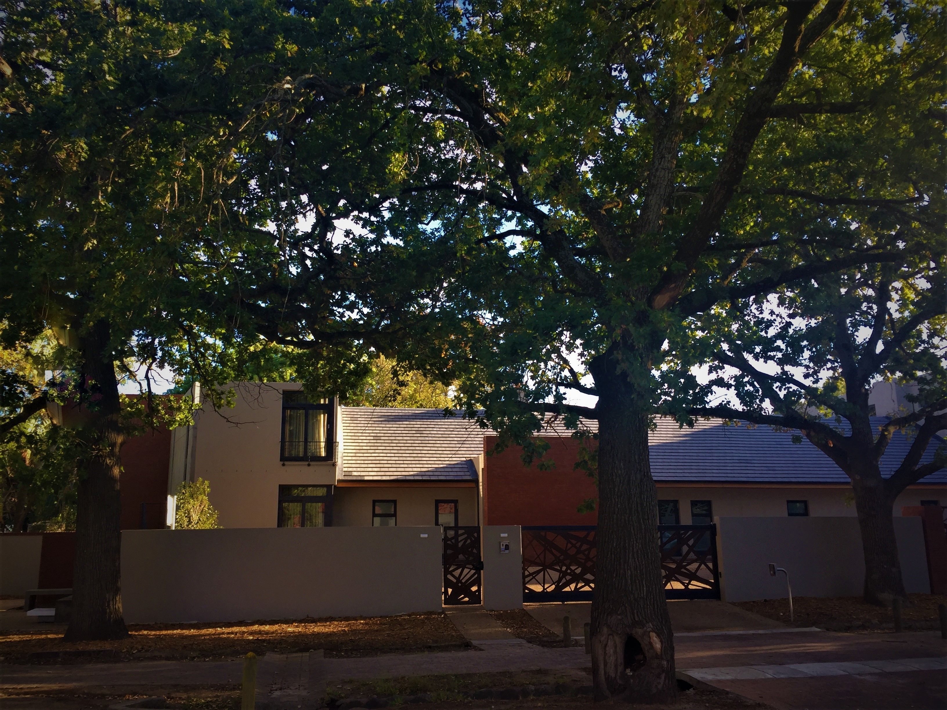 A residential area with modern houses, a gated entrance, and a tree in the foreground.